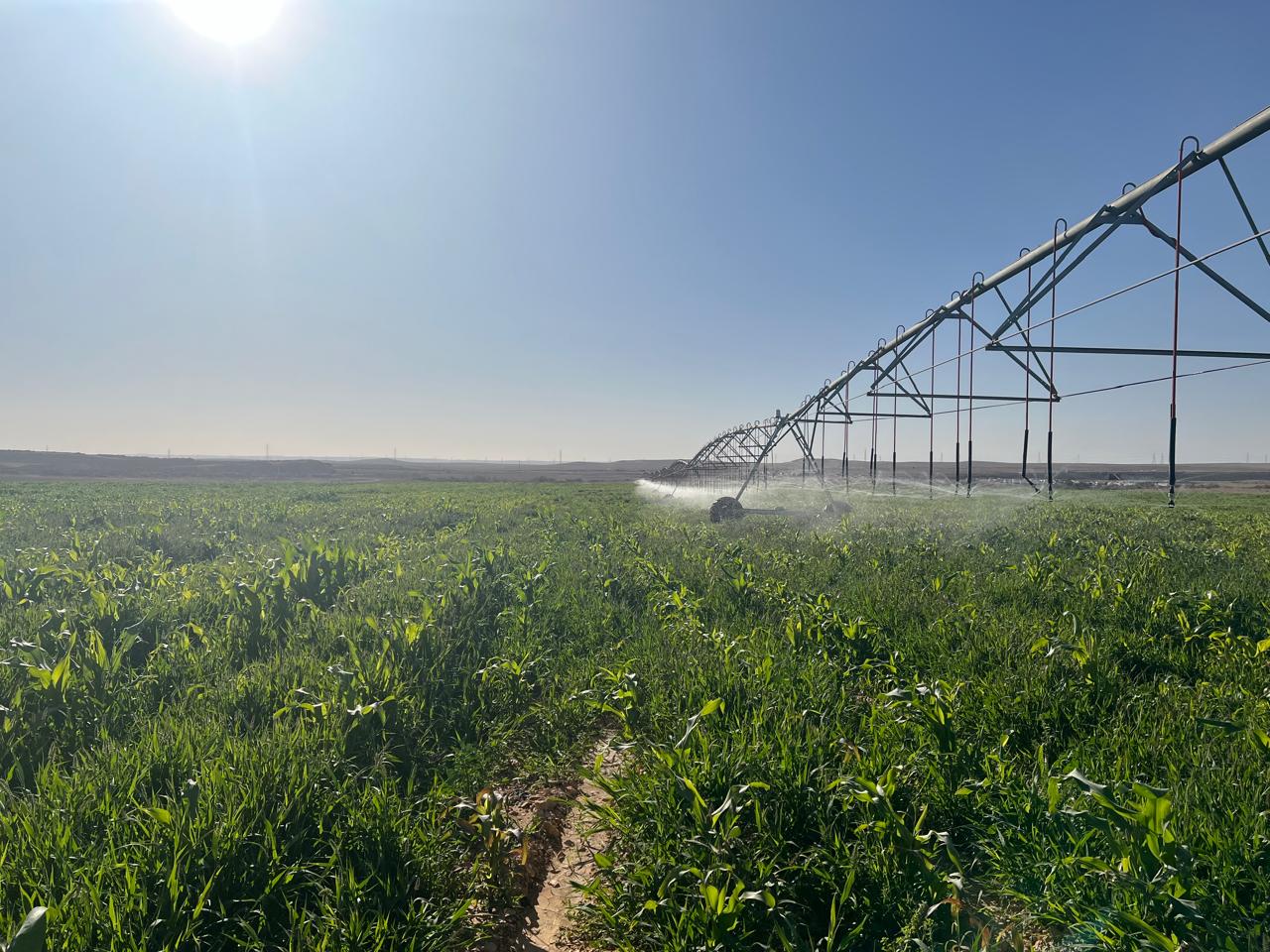 WhatsApp Image 2025-04-20 at 17.41.28_c98ff040